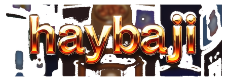 haybaji logo